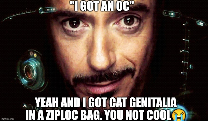 s | "I GOT AN OC"; YEAH AND I GOT CAT GENITALIA IN A ZIPLOC BAG. YOU NOT COOL😭 | image tagged in jarvis | made w/ Imgflip meme maker