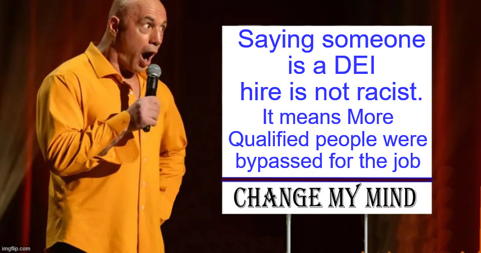 Say anything against DEI you are a racist - Lib 101 | Saying someone is a DEI hire is not racist. It means More Qualified people were bypassed for the job | image tagged in racist liberals | made w/ Imgflip meme maker