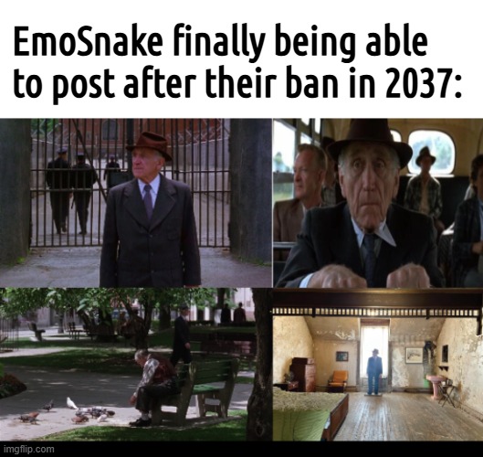 "Dear fellas, I can't believe how fast thingz move on the outside." | EmoSnake finally being able to post after their ban in 2037: | image tagged in free emosnake | made w/ Imgflip meme maker