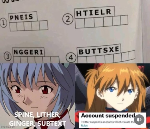 image tagged in evangelion,asuka,rei | made w/ Imgflip meme maker