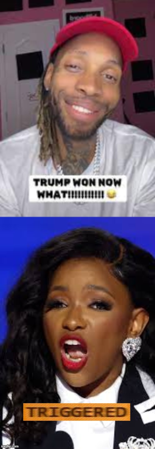 jamine crockett offended by trump | image tagged in maga,triggered liberal | made w/ Imgflip meme maker