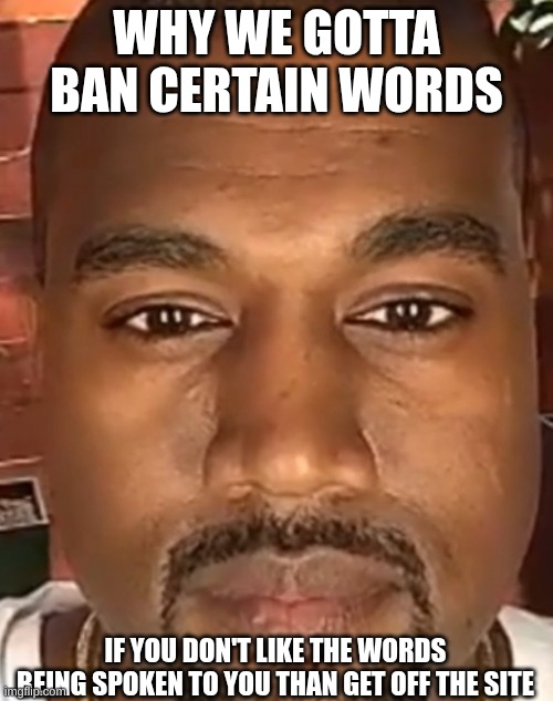 If you offended by the f slur, n slur, or kys than work on being less sensitive :cry: | WHY WE GOTTA BAN CERTAIN WORDS; IF YOU DON'T LIKE THE WORDS BEING SPOKEN TO YOU THAN GET OFF THE SITE | image tagged in kanye west stare | made w/ Imgflip meme maker