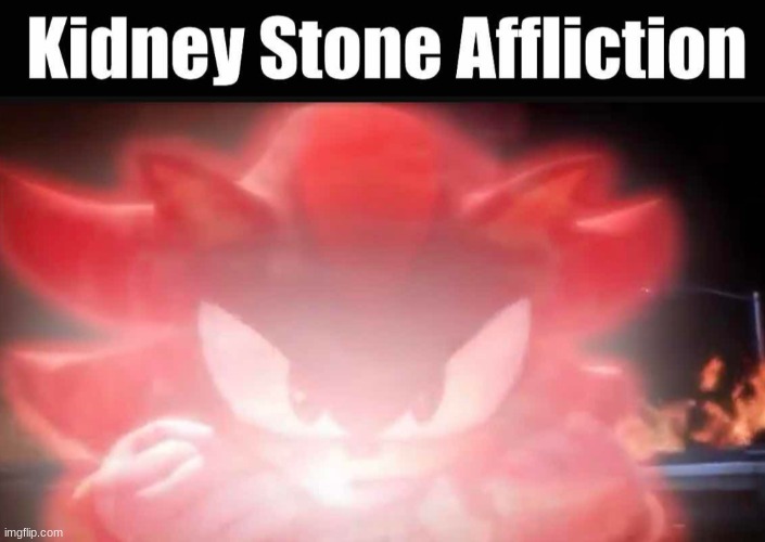 SHADOW KIDNEY STONE AFFLICTION | image tagged in shadow kidney stone affliction | made w/ Imgflip meme maker