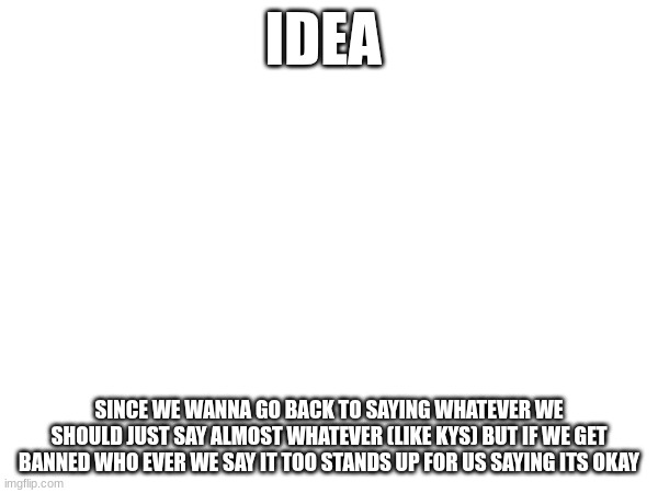 IDEA; SINCE WE WANNA GO BACK TO SAYING WHATEVER WE SHOULD JUST SAY ALMOST WHATEVER (LIKE KYS) BUT IF WE GET BANNED WHO EVER WE SAY IT TOO STANDS UP FOR US SAYING ITS OKAY | made w/ Imgflip meme maker