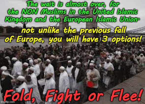 Well the wait is almost over for the United Islamic Kingdom and the European Islamic Union! | The wait is almost over, for the NON Muslims in the United Islamic Kingdom and the European Islamic Union. not unlike the previous fall of Europe, you will have 3 options! Yarra Man; Fold, Fight or Flee! | image tagged in fold fight or flea,the fall of europe,downfall,two tier kier stalin,woke self gratification by proxy,ursula von der leyen | made w/ Imgflip meme maker