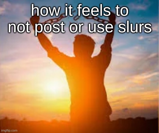 chains breaking man | how it feels to not post or use slurs | image tagged in chains breaking man | made w/ Imgflip meme maker