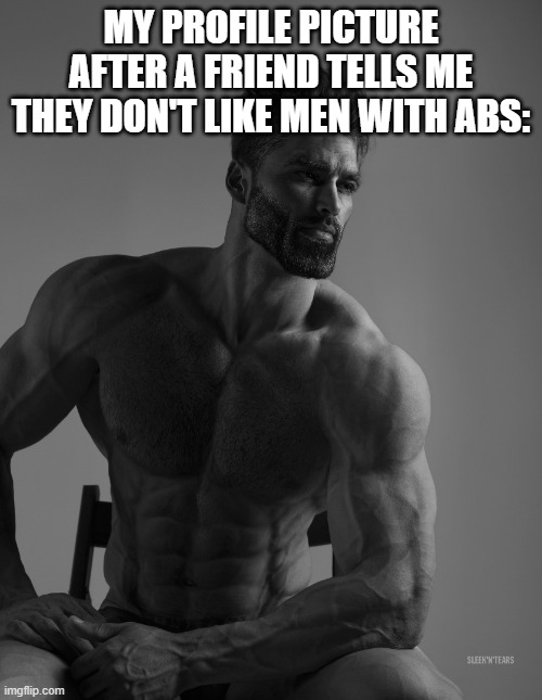 Happened to a friend of mine once | MY PROFILE PICTURE AFTER A FRIEND TELLS ME THEY DON'T LIKE MEN WITH ABS: | image tagged in giga chad,abs,profile picture,annoying | made w/ Imgflip meme maker