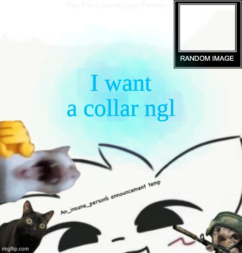 not to be weird, but I jus want smth. My neck feels too exposed | I want a collar ngl | image tagged in my lil announcement | made w/ Imgflip meme maker