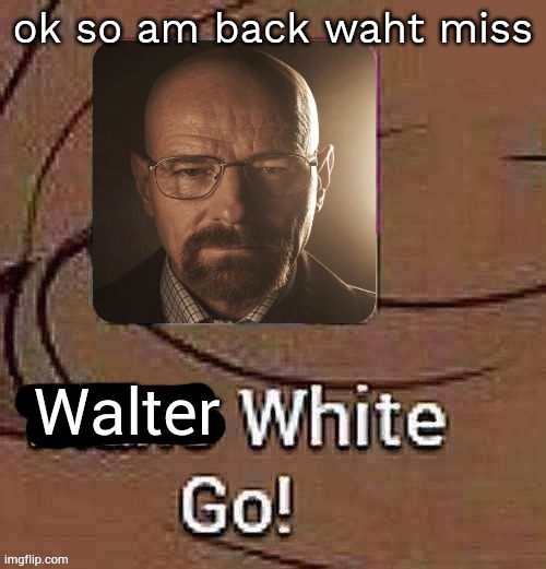 … | ok so am back waht miss | image tagged in walter white go | made w/ Imgflip meme maker