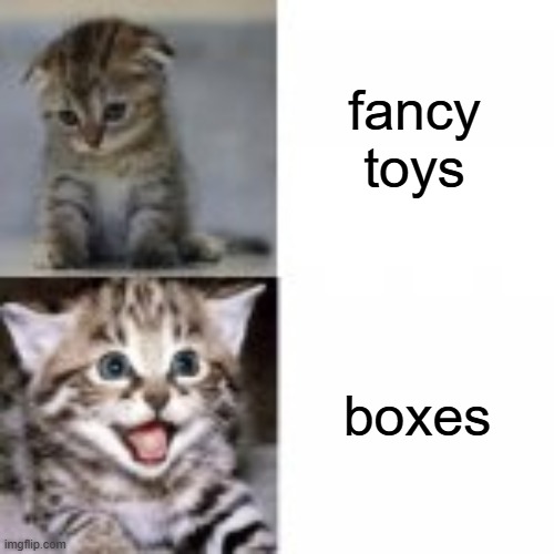 Sad Kitten to Happy Kitten | fancy toys boxes | image tagged in sad kitten to happy kitten | made w/ Imgflip meme maker