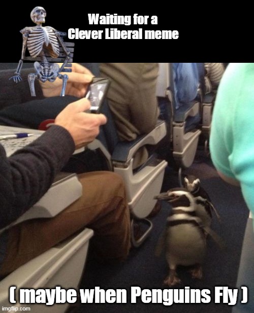Waiting for a Clever Liberal meme ( maybe when Penguins Fly ) | made w/ Imgflip meme maker