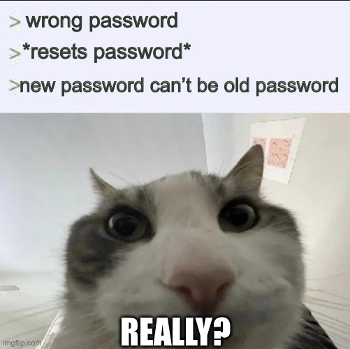 why does it do this | wrong password; *resets password*; new password can’t be old password; REALLY? | image tagged in cat looks inside,password,cats | made w/ Imgflip meme maker