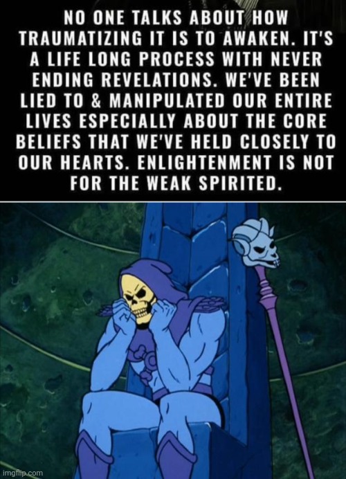 Trauma of Awakening | image tagged in sad skeletor,the great awakening | made w/ Imgflip meme maker