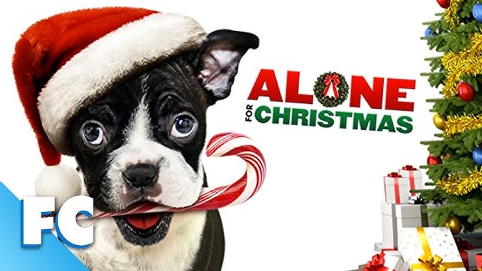 alone for christmas Blank Meme Template
