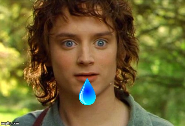 Surpised Frodo Meme | image tagged in memes,surpised frodo | made w/ Imgflip meme maker