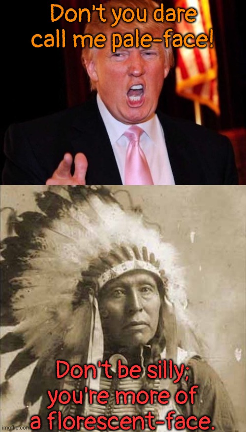 I just thought of this. | Don't you dare call me pale-face! Don't be silly; you're more of a florescent-face. | image tagged in donald trump and native american,gotcha,diss,annoying orange,nickname | made w/ Imgflip meme maker