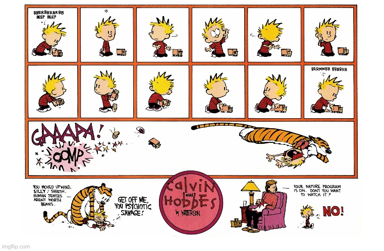 Look out for vicious jungle cats… You never know when they’ll strike next! | image tagged in calvin and hobbes,comics,vicious jungle cat,nature program,pounce | made w/ Imgflip meme maker