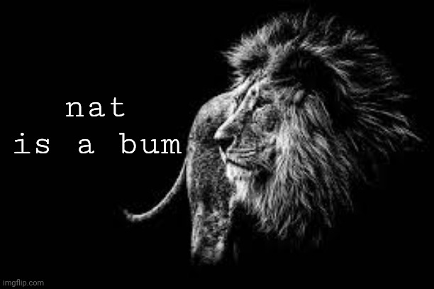 Blank lion template | nat is a bum | image tagged in blank lion template | made w/ Imgflip meme maker