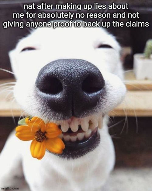 Smiling dog | nat after making up lies about me for absolutely no reason and not giving anyone proof to back up the claims | image tagged in smiling dog | made w/ Imgflip meme maker