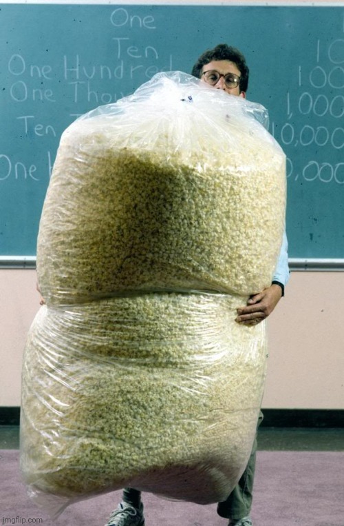 Giant bag of popcorn | image tagged in giant bag of popcorn | made w/ Imgflip meme maker