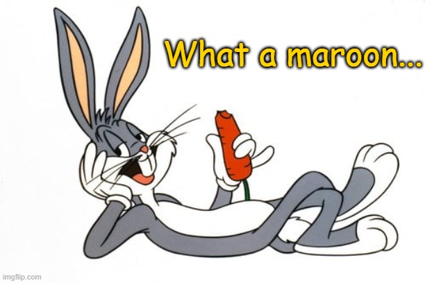 As Bugs Bunny might say... | What a maroon... | image tagged in idiots,smart,bunny | made w/ Imgflip meme maker