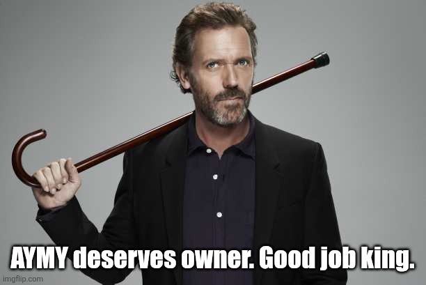 Dr House | AYMY deserves owner. Good job king. | image tagged in dr house | made w/ Imgflip meme maker
