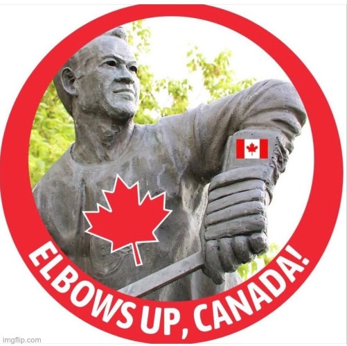 Good fences make good neighbors, like good punctuation saves the day | image tagged in canadian elbows up,canada,elections,hockey | made w/ Imgflip meme maker