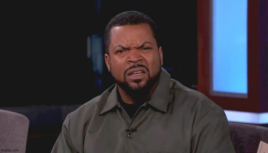 Really? Ice Cube | image tagged in really ice cube | made w/ Imgflip meme maker