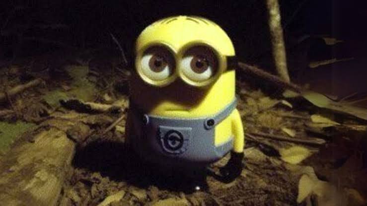 minion Blank Meme Template