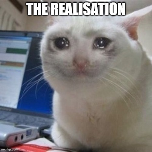 Crying cat | THE REALISATION | image tagged in crying cat | made w/ Imgflip meme maker