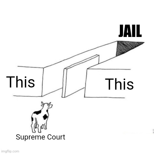 Sided w a monster. Gave a monster all power/immunity...2 hold on2 their position/power...Make it make sense lol | JAIL; This; This; Supreme Court | image tagged in the illusion of free choice blank,stupid people | made w/ Imgflip meme maker