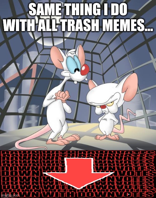 Pinky and the brain | SAME THING I DO WITH ALL TRASH MEMES... | image tagged in pinky and the brain | made w/ Imgflip meme maker