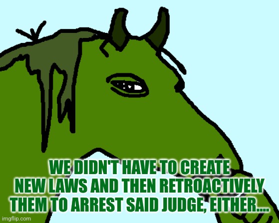 horse pepe | WE DIDN'T HAVE TO CREATE NEW LAWS AND THEN RETROACTIVELY THEM TO ARREST SAID JUDGE, EITHER.... | image tagged in horse pepe | made w/ Imgflip meme maker