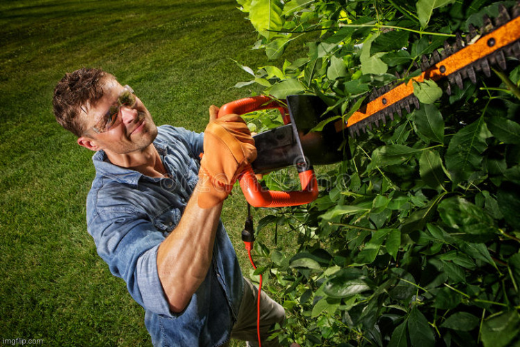 Man trimming bushes | image tagged in man trimming bushes | made w/ Imgflip meme maker