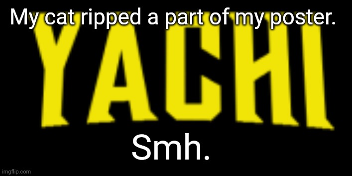 What is it and cats not liking posters | My cat ripped a part of my poster. Smh. | image tagged in yachi title card | made w/ Imgflip meme maker