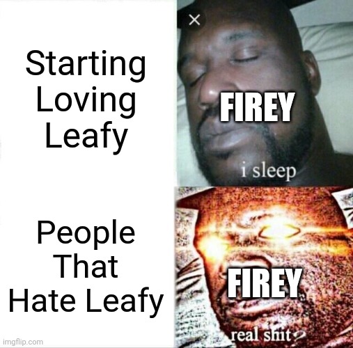 Firey And Leafy: | Starting Loving Leafy; FIREY; People That Hate Leafy; FIREY | image tagged in memes,sleeping shaq,bfdi,bfb | made w/ Imgflip meme maker