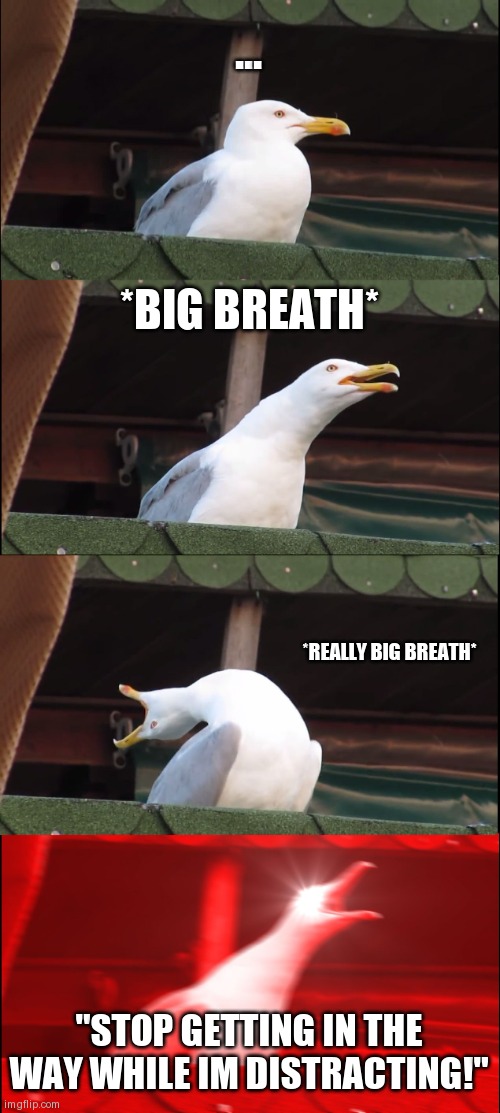Inhaling Seagull | ... *BIG BREATH*; *REALLY BIG BREATH*; "STOP GETTING IN THE WAY WHILE IM DISTRACTING!" | image tagged in memes,inhaling seagull | made w/ Imgflip meme maker
