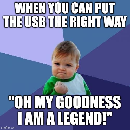 Relatable | WHEN YOU CAN PUT THE USB THE RIGHT WAY; "OH MY GOODNESS I AM A LEGEND!" | image tagged in memes,success kid,fume | made w/ Imgflip meme maker