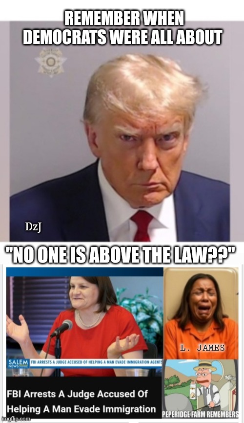 Pepperidge Farm Remembers | REMEMBER WHEN DEMOCRATS WERE ALL ABOUT; DzJ; "NO ONE IS ABOVE THE LAW??"; L. JAMES | image tagged in democrat,libtard,morons,losers,butthurt liberals | made w/ Imgflip meme maker