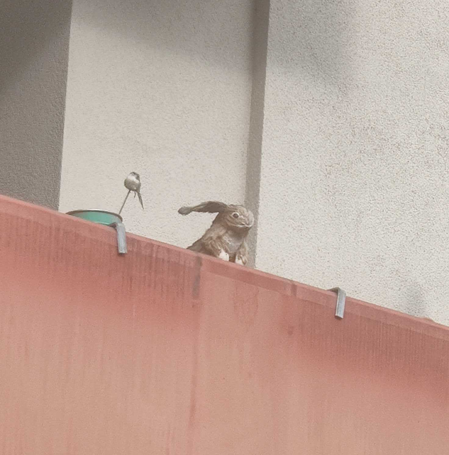 waiting for Blank Meme Template