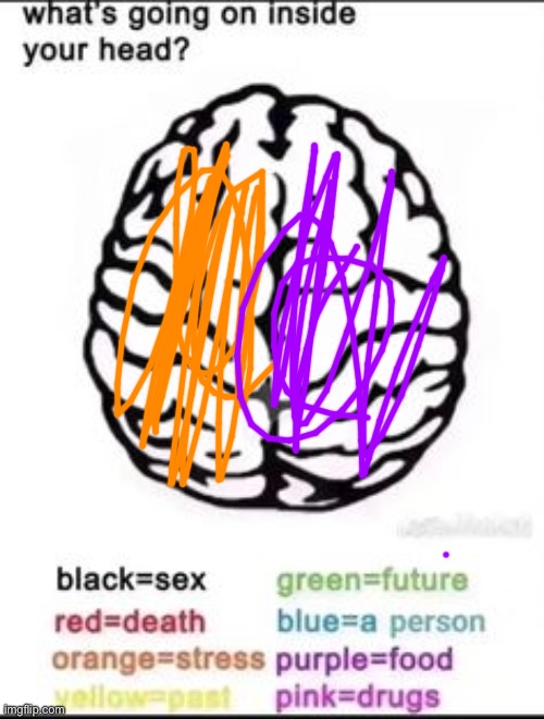 What's going on inside your head? | image tagged in what's going on inside your head | made w/ Imgflip meme maker