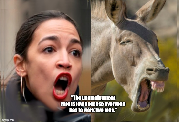 The Unparalleled Wisdom of AOC | "The unemployment rate is low because everyone has to work two jobs." | image tagged in lookalikes | made w/ Imgflip meme maker