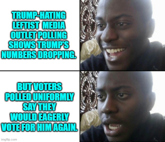 Maybe the polling process of those Trump-hating media outlets is suspect, eh? | TRUMP-HATING LEFTIST  MEDIA OUTLET POLLING SHOWS TRUMP'S NUMBERS DROPPING. BUT VOTERS POLLED UNIFORMLY SAY THEY WOULD EAGERLY VOTE FOR HIM AGAIN. | image tagged in happy / shock | made w/ Imgflip meme maker