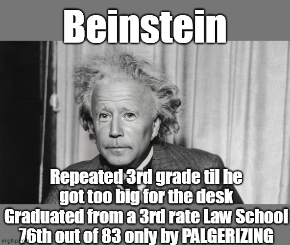 Beinstein Repeated 3rd grade til he got too big for the desk Graduated from a 3rd rate Law School 76th out of 83 only by PALGERIZING | made w/ Imgflip meme maker