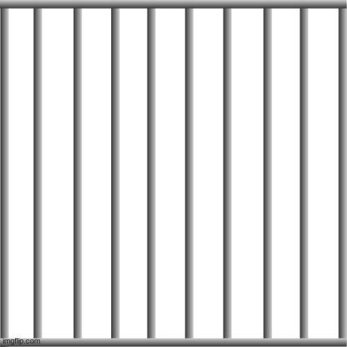 Prison Bars | image tagged in prison bars | made w/ Imgflip meme maker