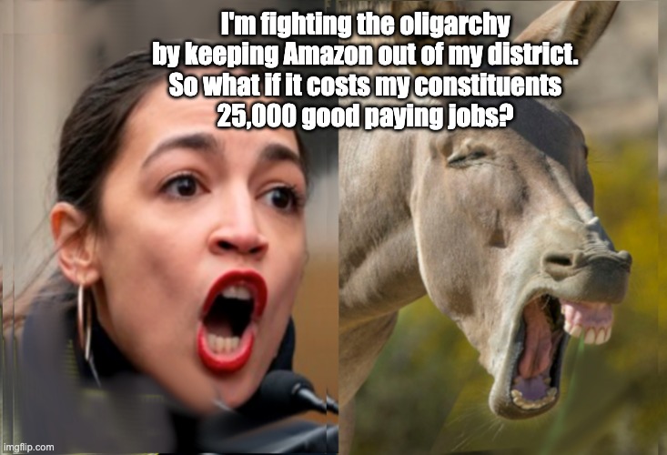 AOC - Economic Mastermind | I'm fighting the oligarchy by keeping Amazon out of my district.
So what if it costs my constituents
25,000 good paying jobs? | image tagged in lookalikes | made w/ Imgflip meme maker