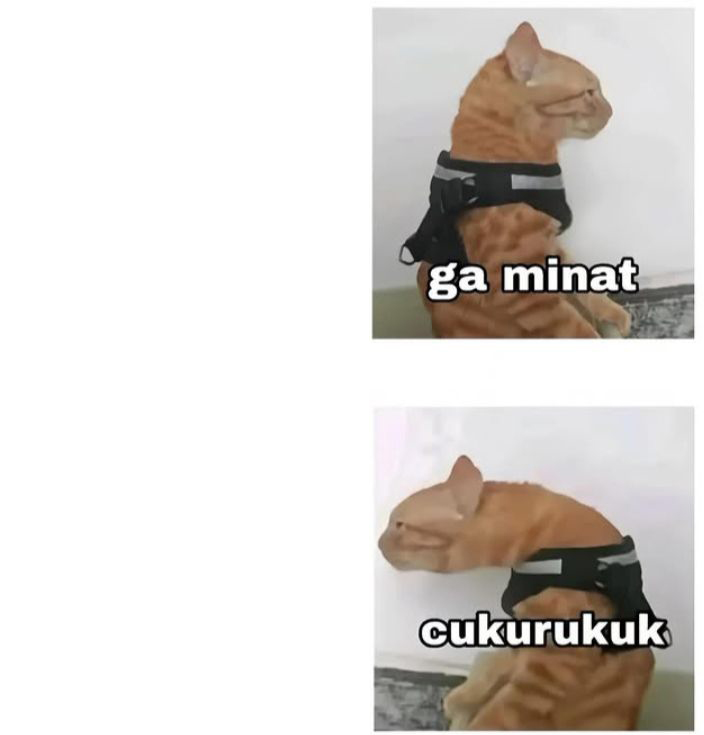 High Quality Cukurukuk Cat Blank Meme Template