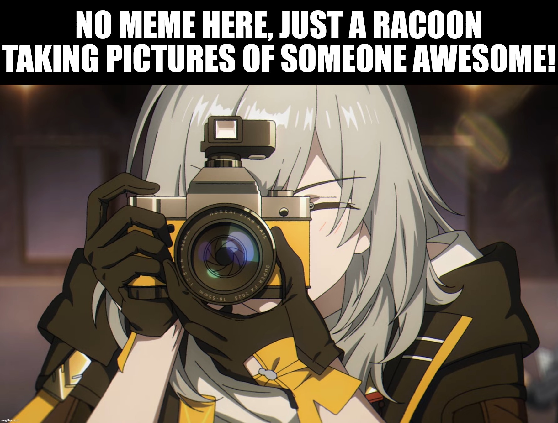 A racoon taking pictures | NO MEME HERE, JUST A RACOON TAKING PICTURES OF SOMEONE AWESOME! | image tagged in photography,honkai star rail | made w/ Imgflip meme maker