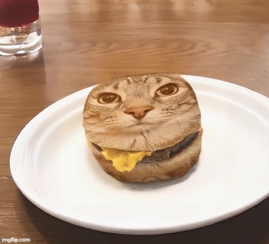this is the real burger car | made w/ Imgflip meme maker