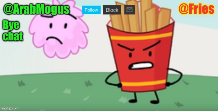 ArabMogus and Fries shared temp | Bye chat | image tagged in arabmogus and fries shared temp | made w/ Imgflip meme maker